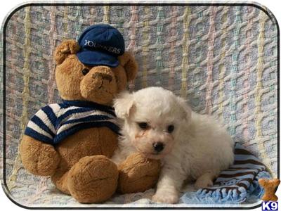 Sammy 